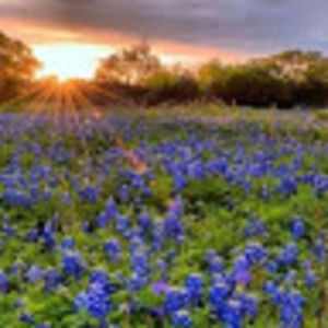 Meet your Posher, Kendyll